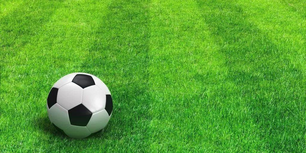 球探比分电脑版使用流程示意图